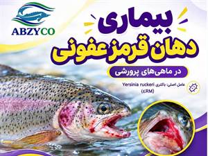 بیماری دهان قرمز عفونی (یرسینیوز) در ماهی‌ها؛ علائم، راه‌های انتقال، درمان و روش‌های پیشگیری. راهنمای کامل کنترل این بیماری باکتریایی در آبزی‌پروری.

